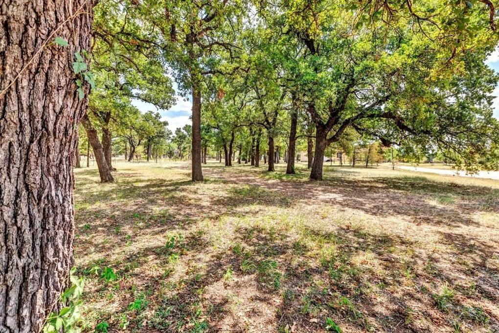 Pecan Farm Haus فريدريكسبيرغ المظهر الخارجي الصورة