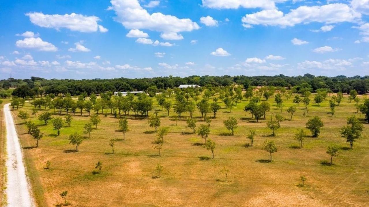 Pecan Farm Haus فريدريكسبيرغ المظهر الخارجي الصورة
